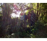 2015 10 03 12.21.32 2015 10 03 12.21.32