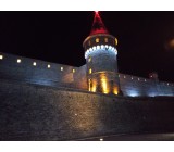 P51114 184600 P51114 184600