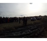 P51115-124248.jpg P51115-124248.jpg