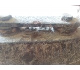 IMG_20150614_152617.jpg IMG_20150614_152617.jpg