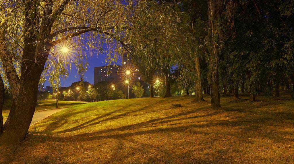 50 мм f1.4 USM734676286.jpg