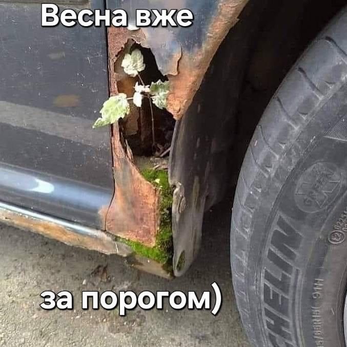 lutsk_autobazar-23022024-0001.jpeg