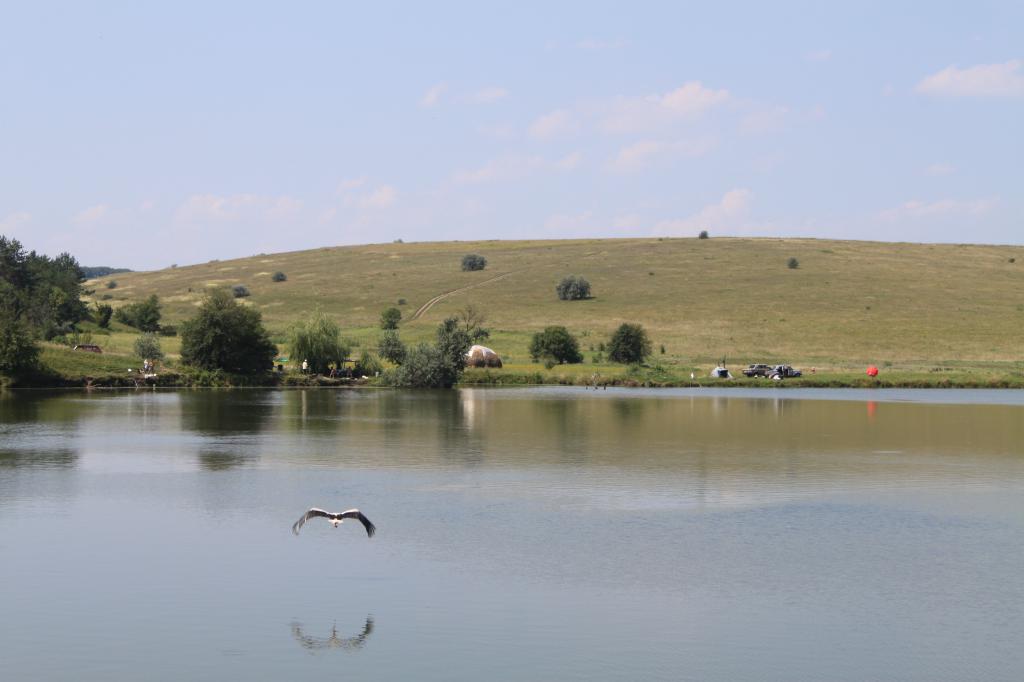 Изображение 197.jpg