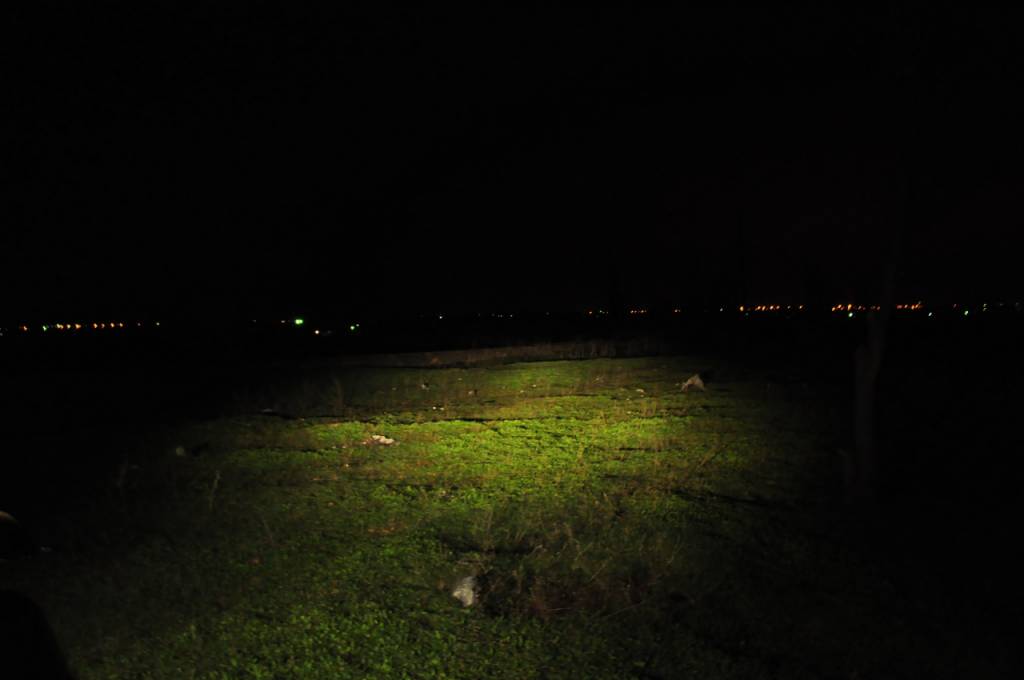 Копия DSC_0489.JPG