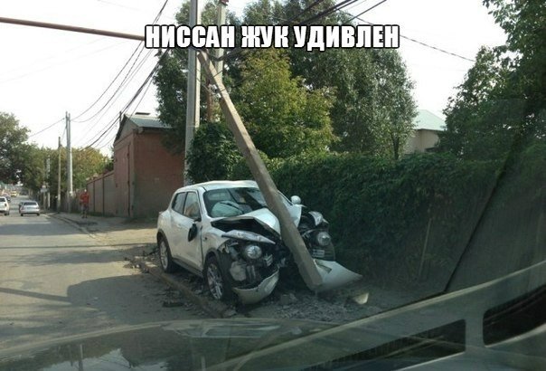 Жук Удивлен.jpg