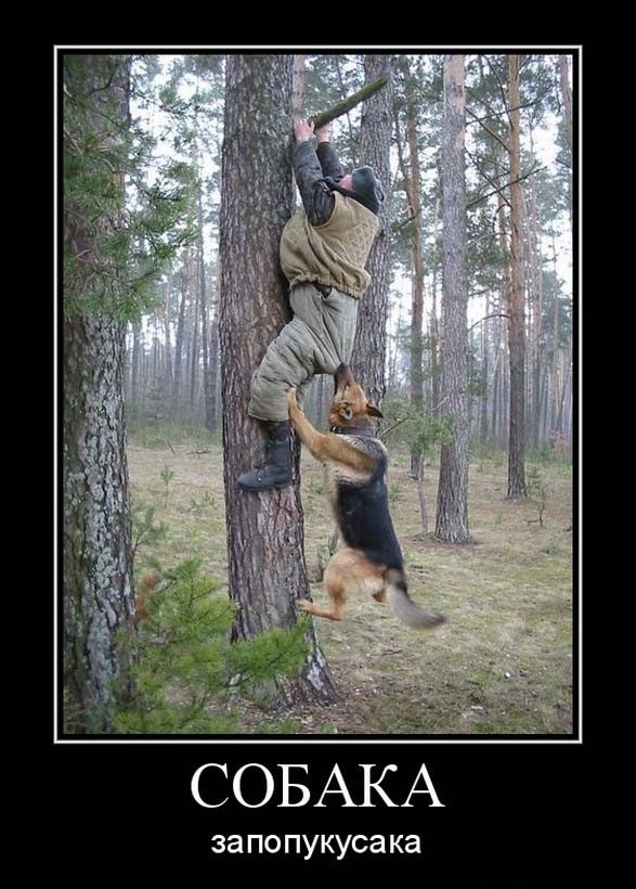 maxresdefault (1).jpg