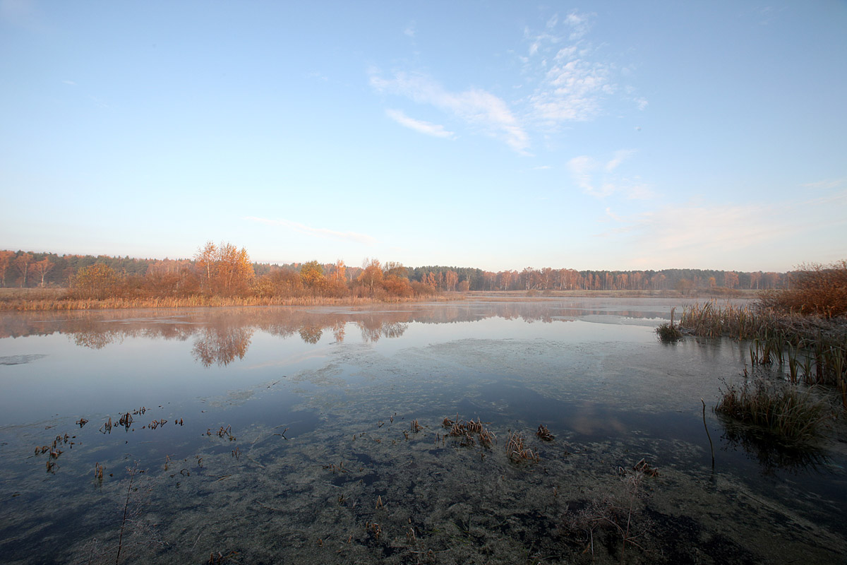 FESTIVAL 4X4 2010-28_181009.jpg