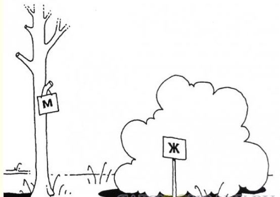 Снимок 0001.JPG