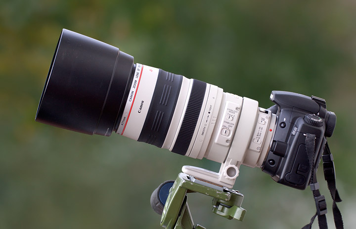canon_100-400-intro.jpg