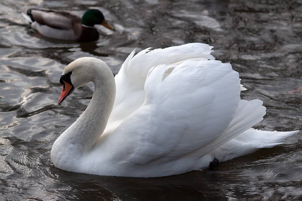 50D + 135L963069.jpg