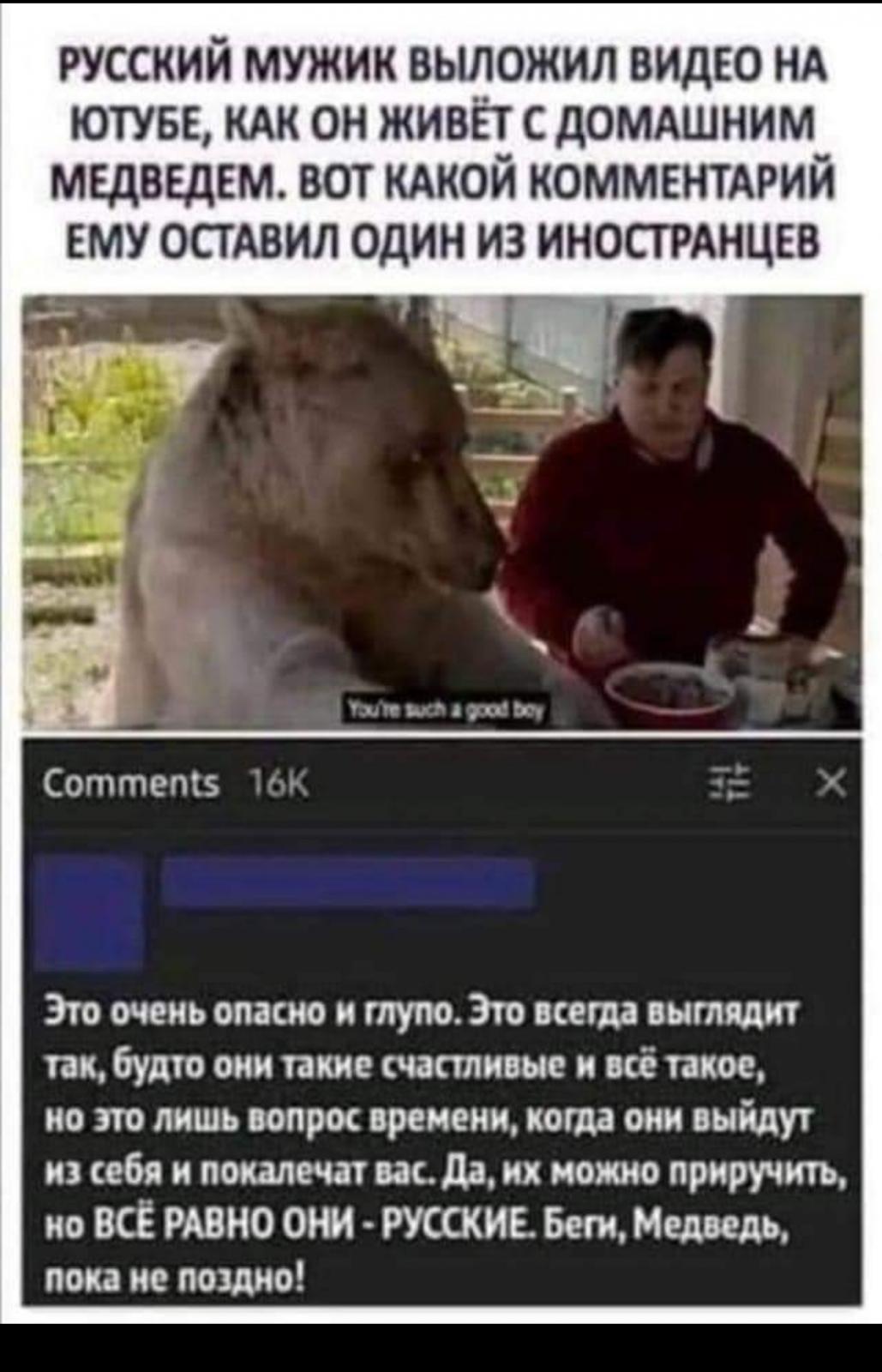 медведь.jpg