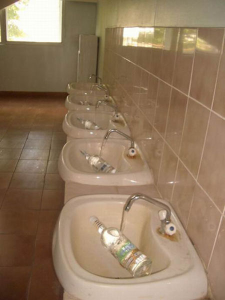 7715135p3y.jpg