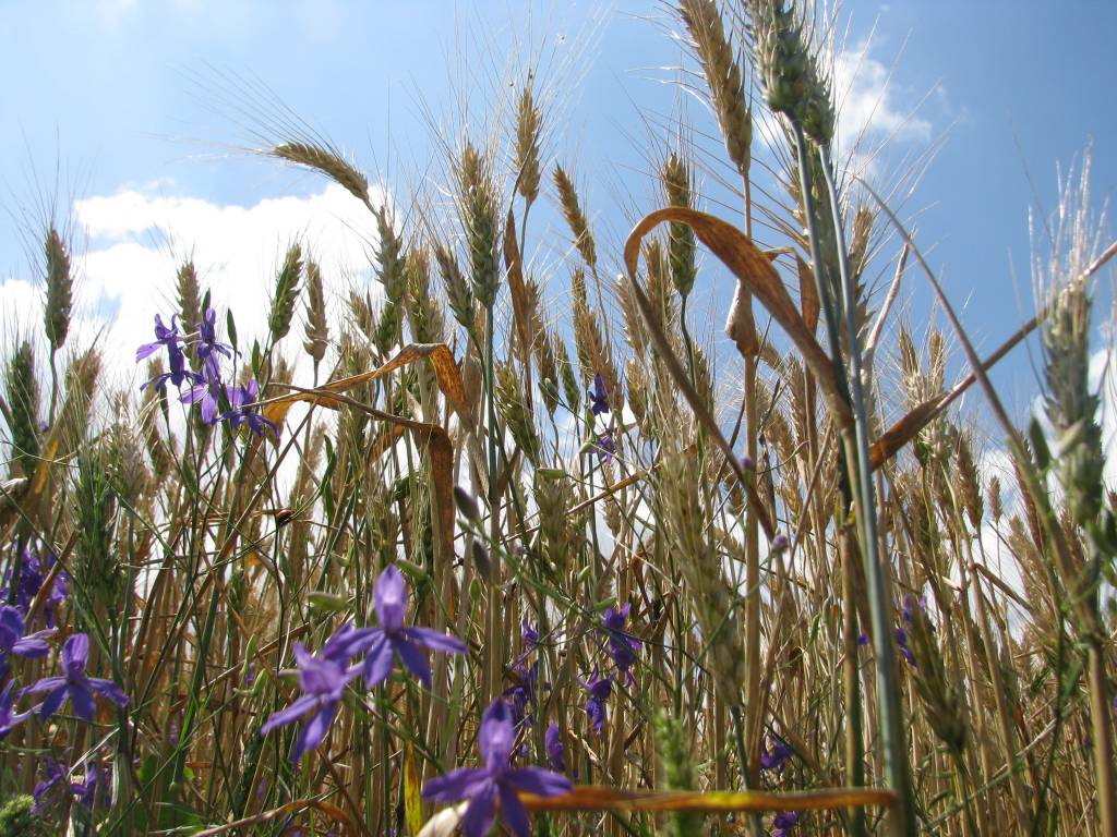 Veremje_June_2012 091.JPG