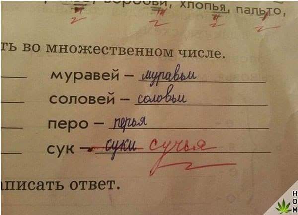 сук.jpg