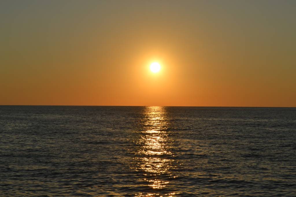 DSC_2917 - копия.JPG