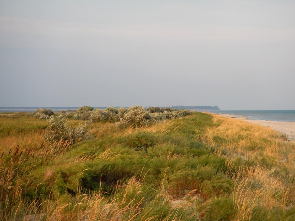 Копия DSCN1750.JPG