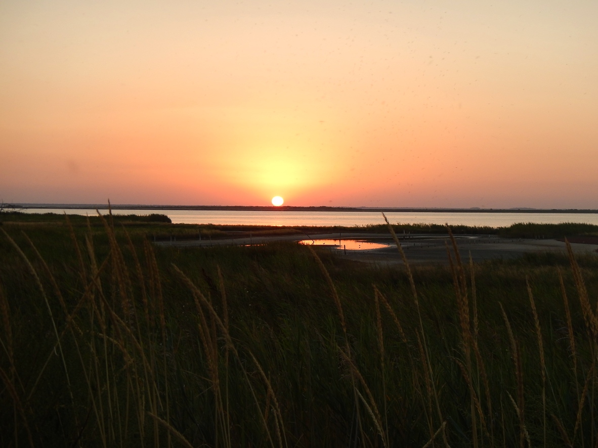 Копия DSCN1712.JPG