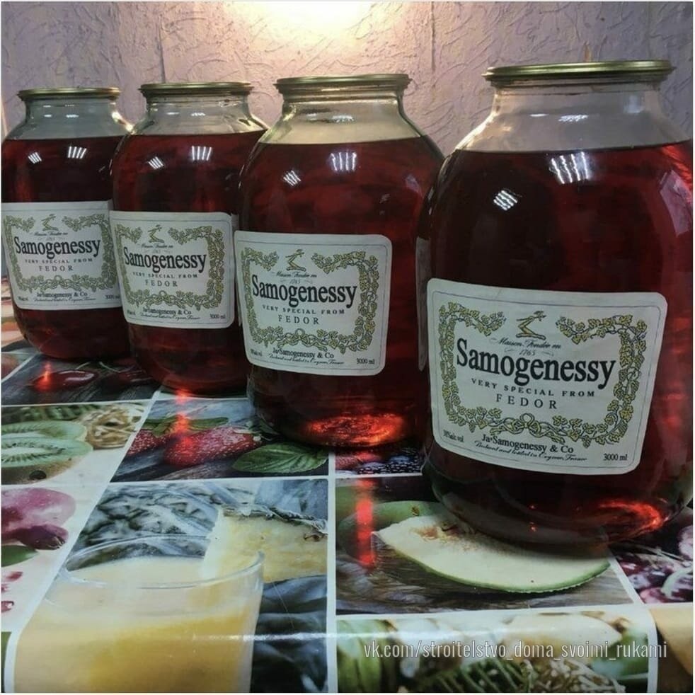 Самохенеси 1.jpg