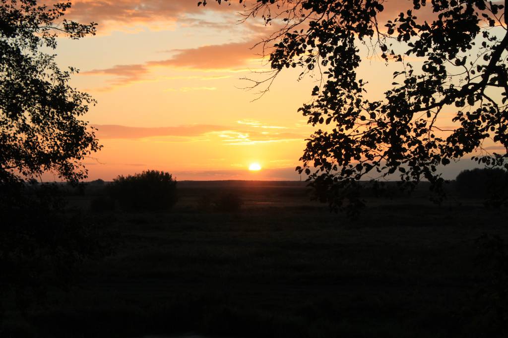 Изображение 107.jpg