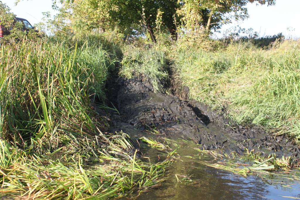 Изображение 090.jpg