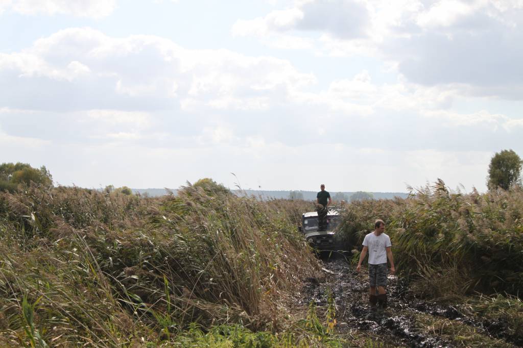 Изображение 045.jpg