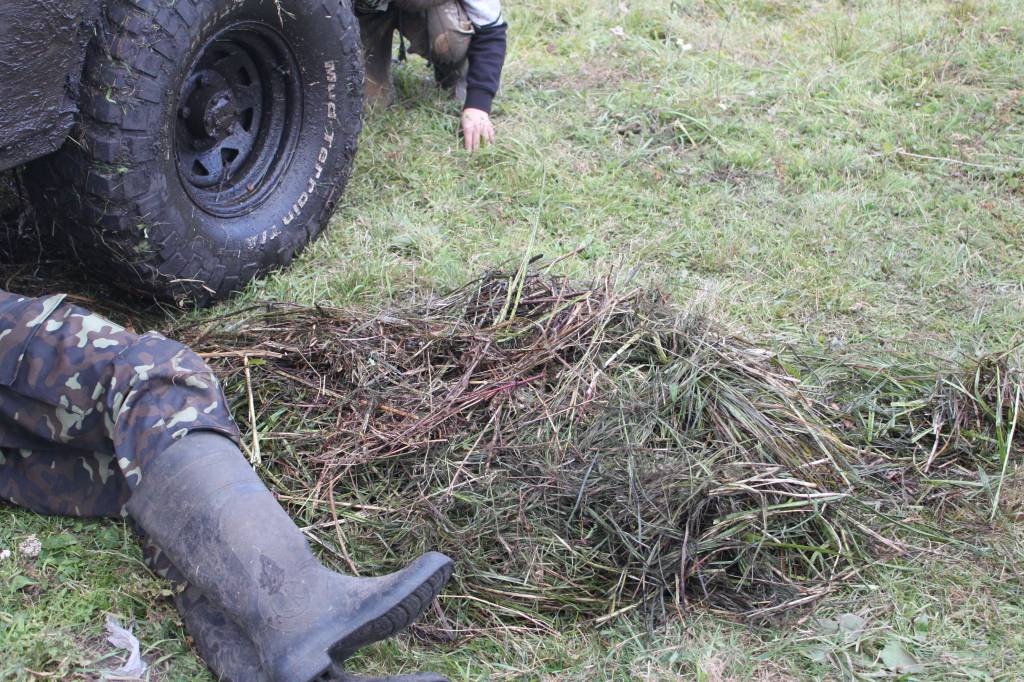 Изображение 047.jpg