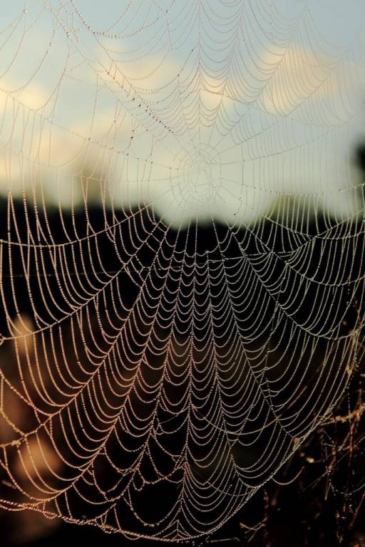 IMG_5377 - копия.JPG