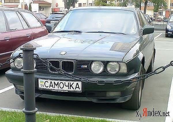 самочка.jpg