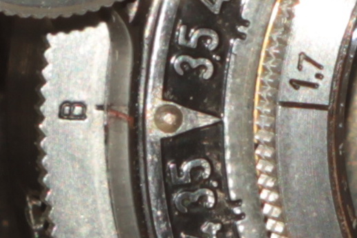 IMG_2953 crop 100%.jpg