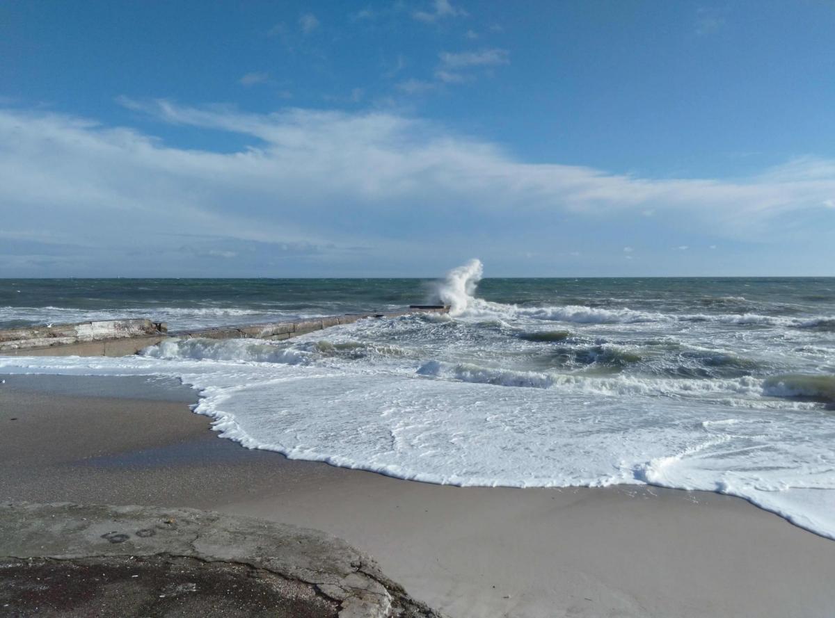 P7.jpg.737bb593218f5f4ce6703e7d54e18a6e (1).jpg