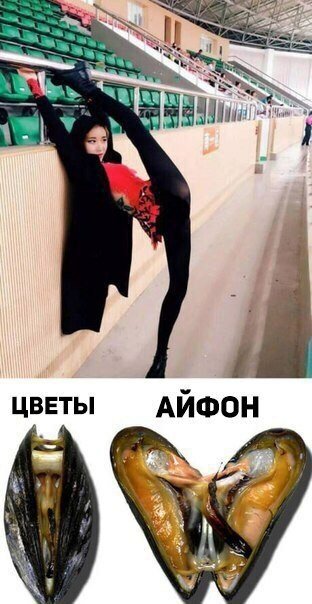 Цветы. Айфон.jpg