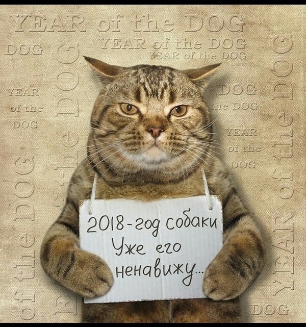 Год собаки.jpg