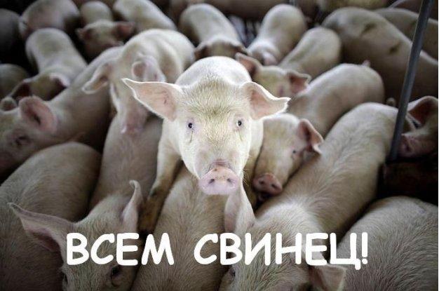 всем_свинец.JPG