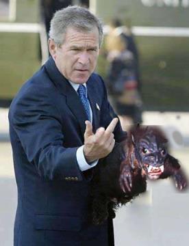 bush_finger__chupa_web_1_.jpg